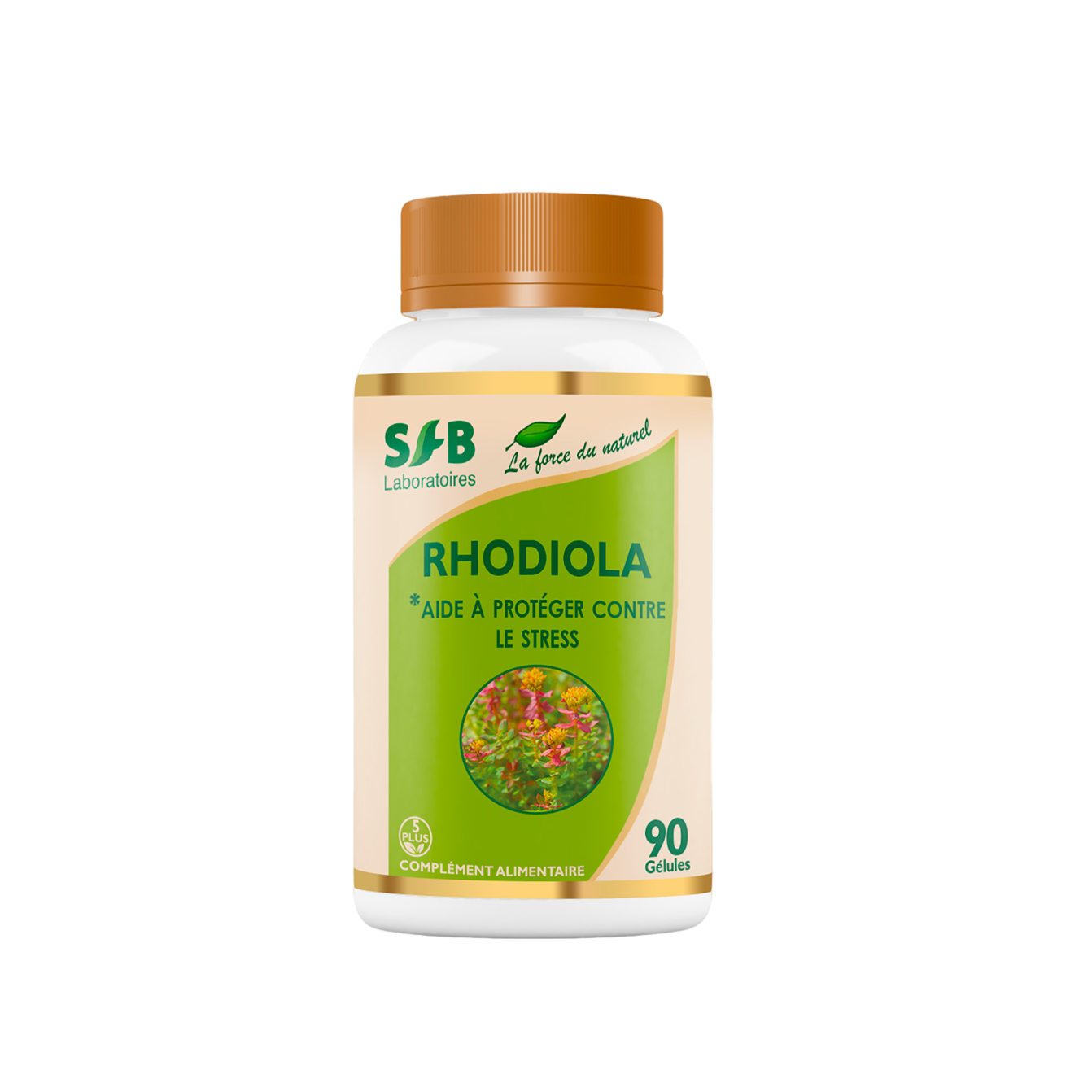 Rhodiola - 90 gélules