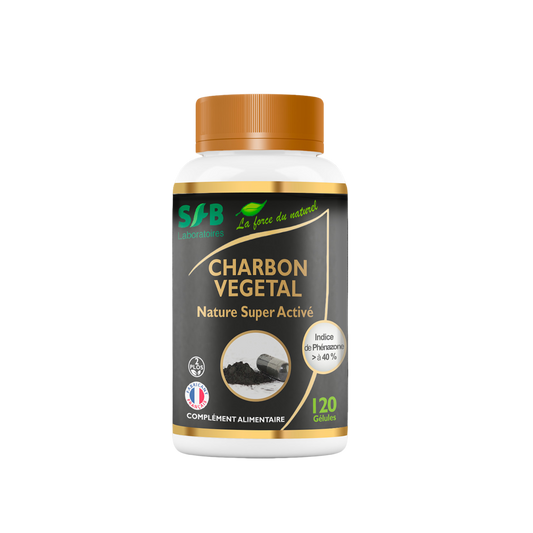 Charbon Végétal Super Activé 100 % poudre - 120 gélules végétales