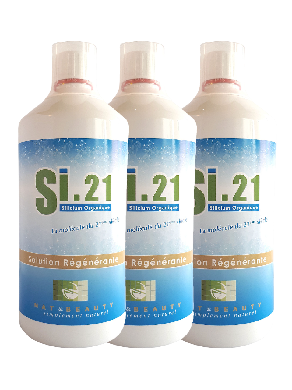 SI21 : Silicium organique liquide 1L